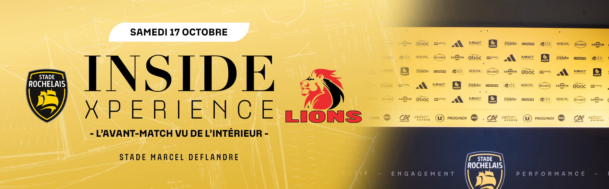 INSIDE LIONS