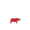 Groupe Rhinos
